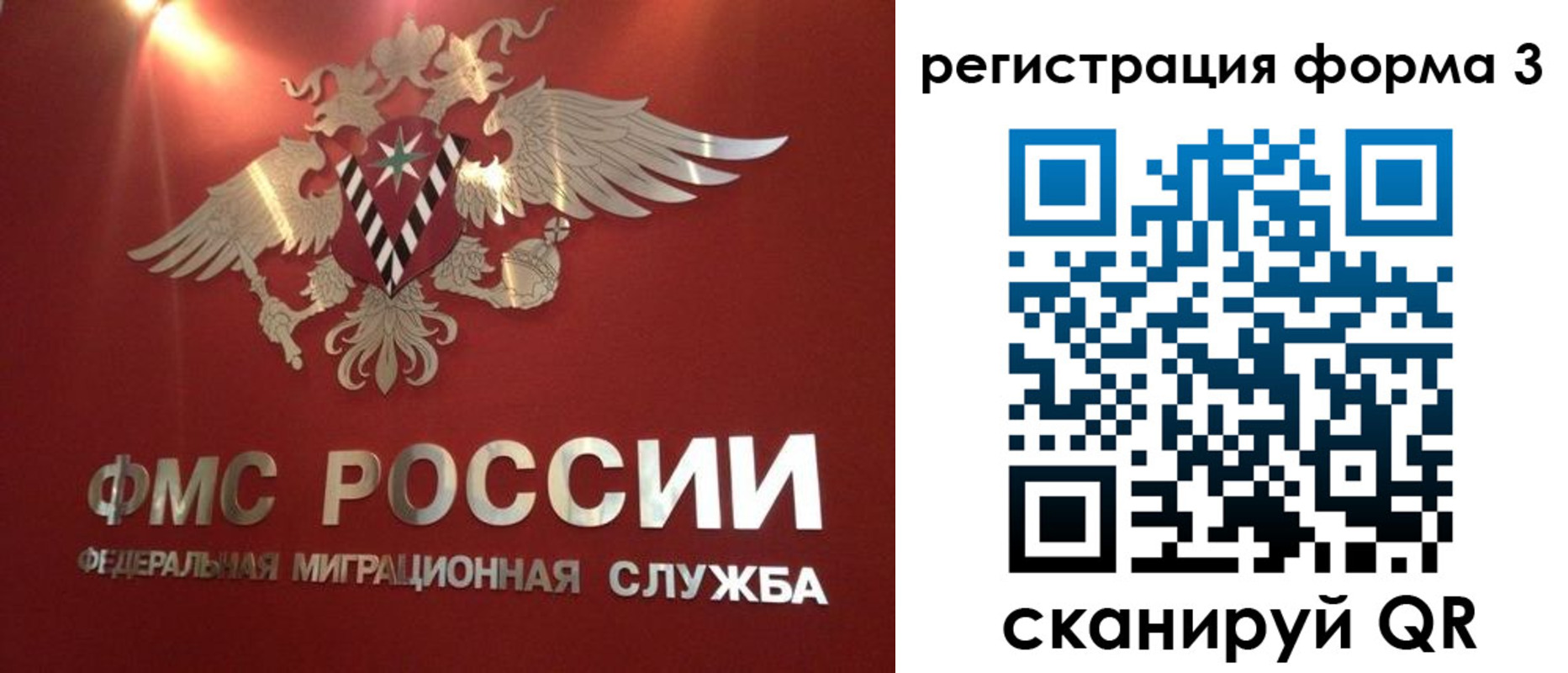 прописка гарантия в Бокситогорске